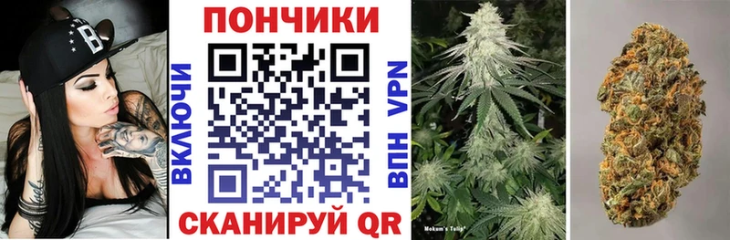 сколько стоит  Ленинск  Канабис Bruce Banner 